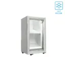 ZENET SHOWCASE FREEZER 21 LTR COMMERCIAL